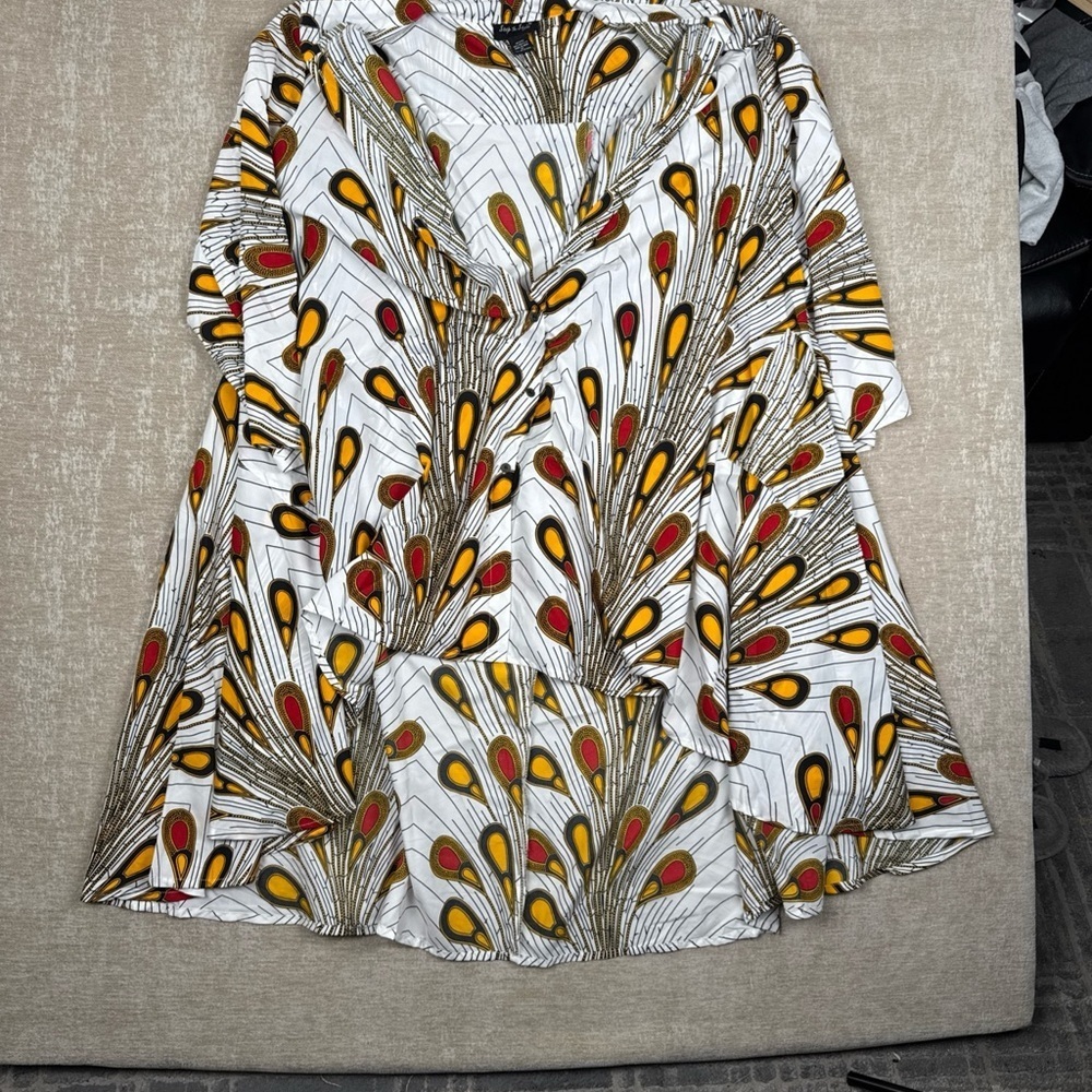 Step In StyleDresspeacock feather 2X abstract print long sleeve button frontDV
